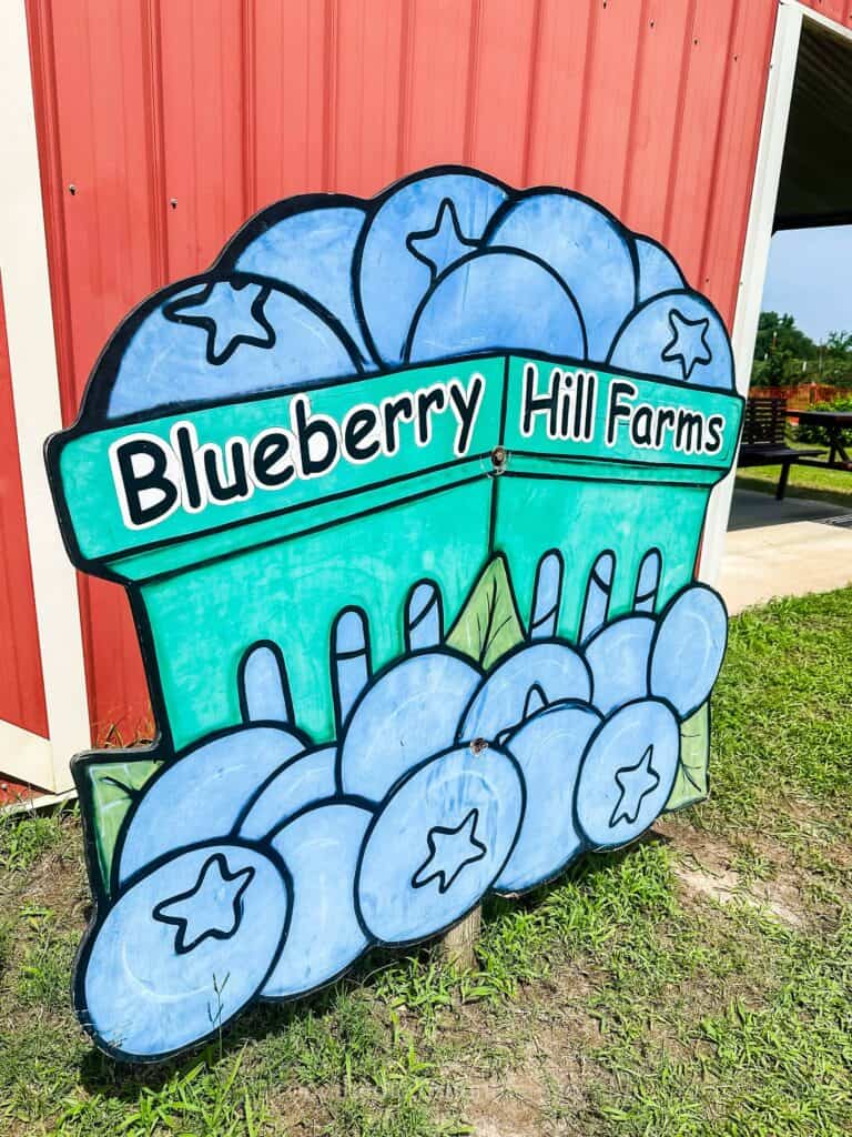 cute blueberry hill farms sign