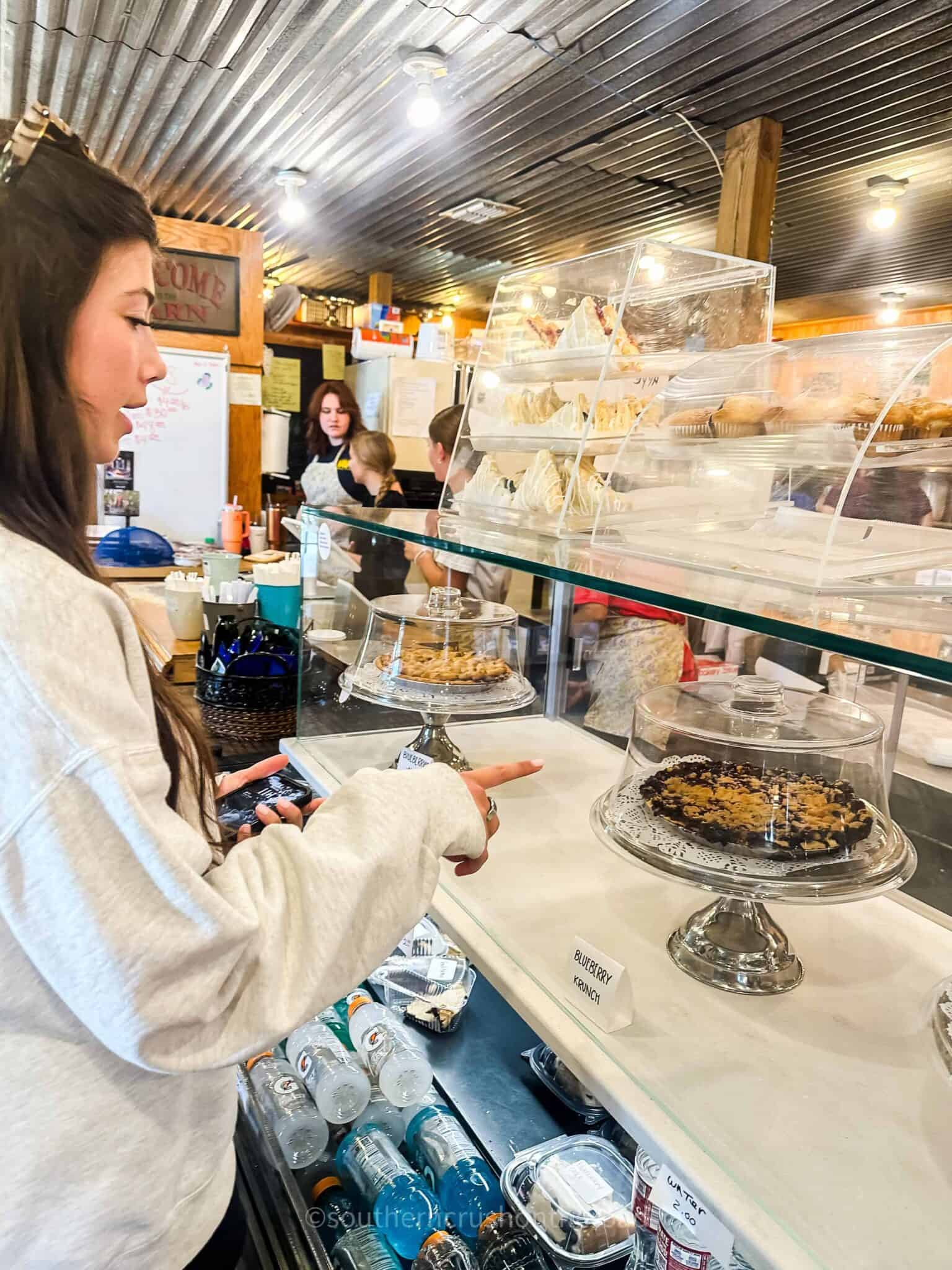 U Pick Blueberry Picking Farm in Edom, TX Southern Crush on the Road