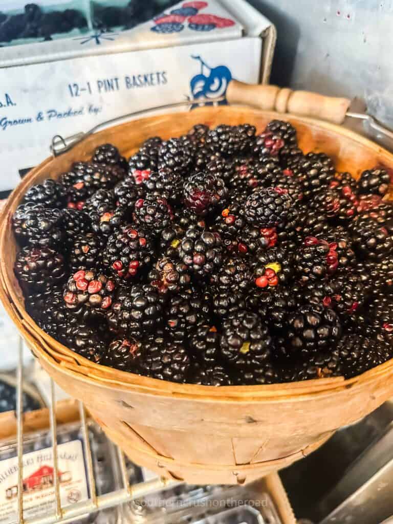 fresh blackberries in a bushel