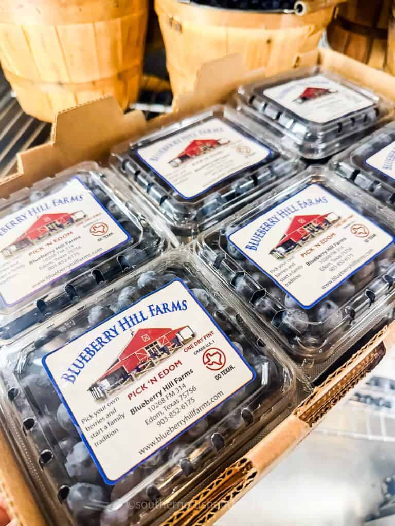 fresh blueberries from blueberry hill farms