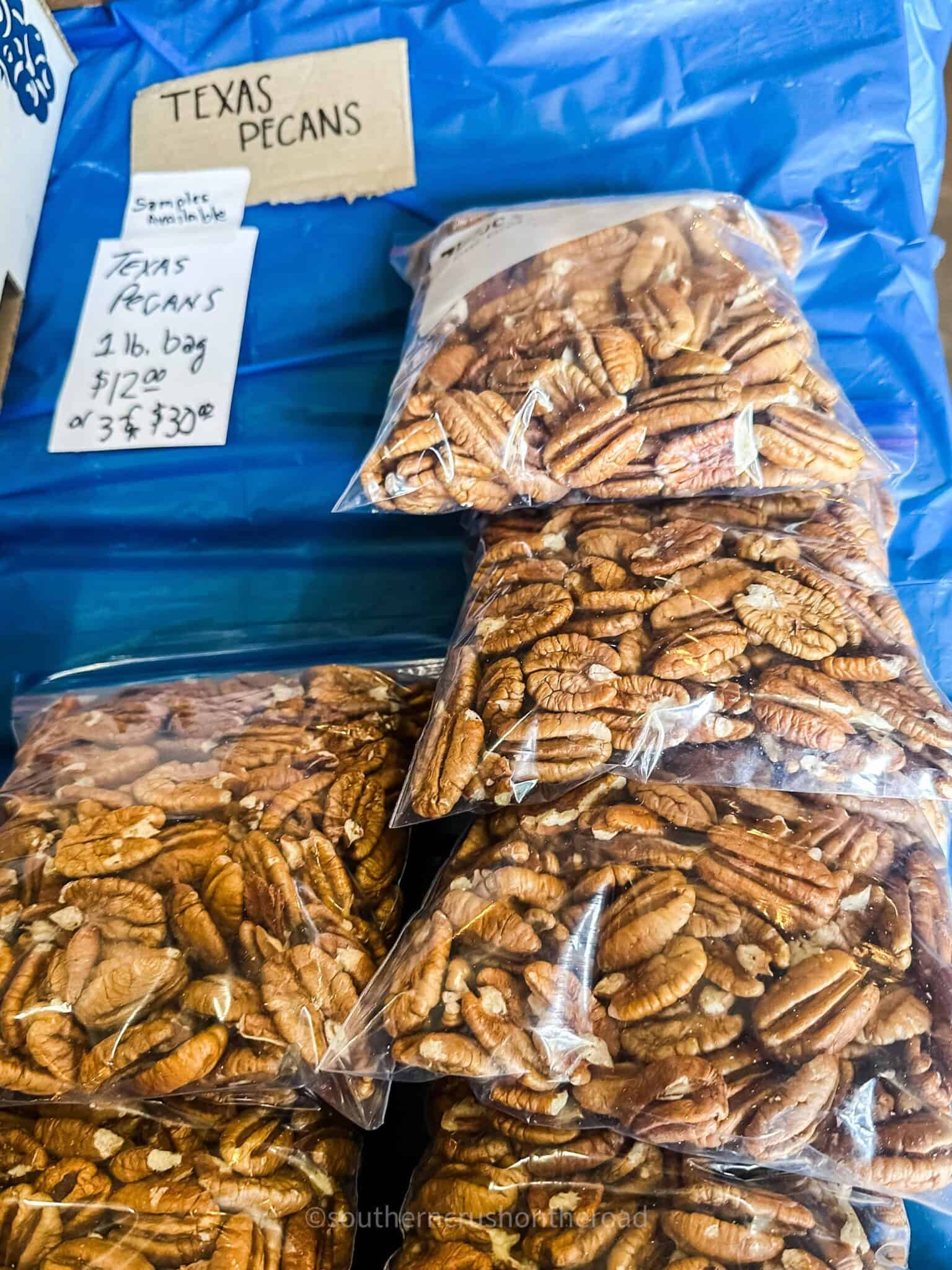 U Pick Blueberry Picking Farm in Edom, TX Southern Crush on the Road