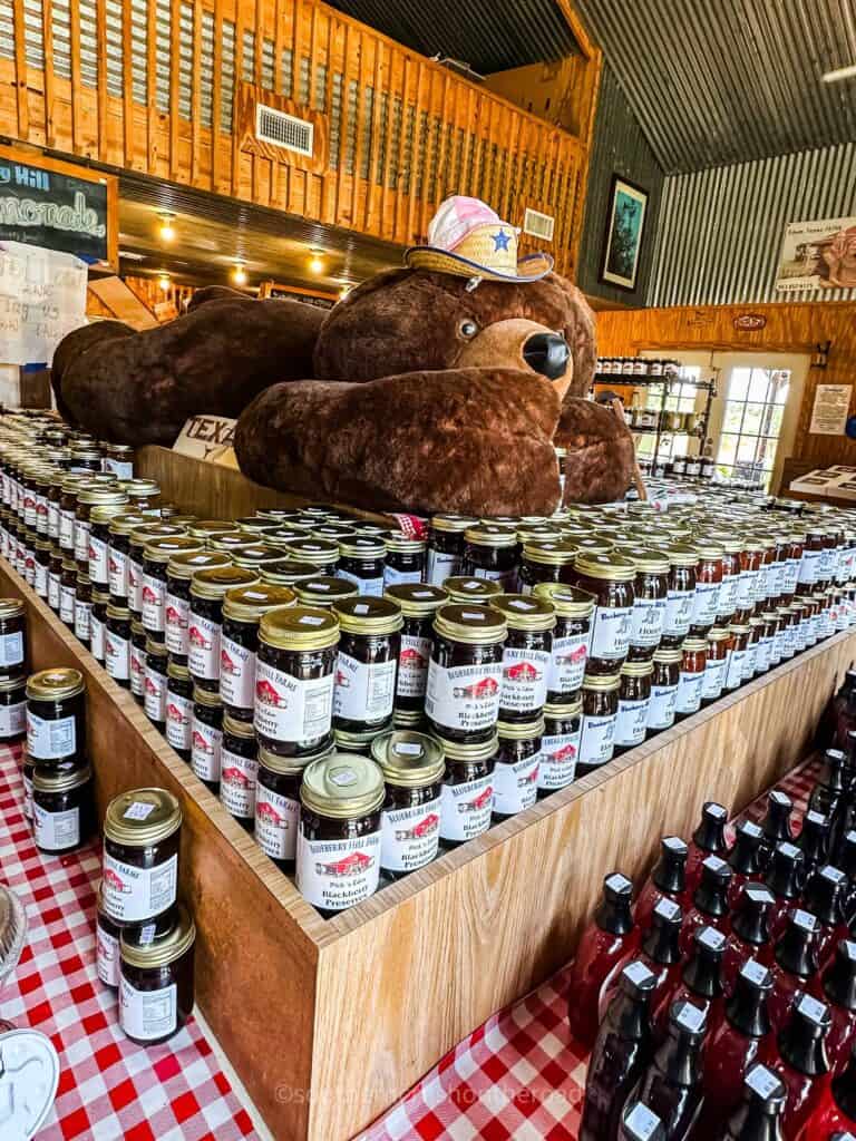 stuffed bear on top of preserves