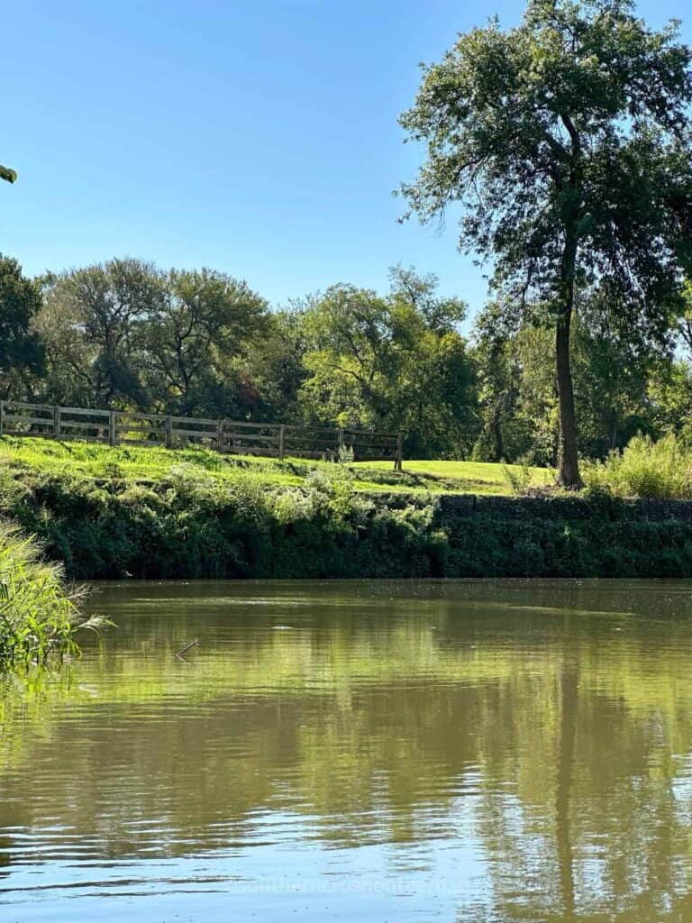 view on trinity river